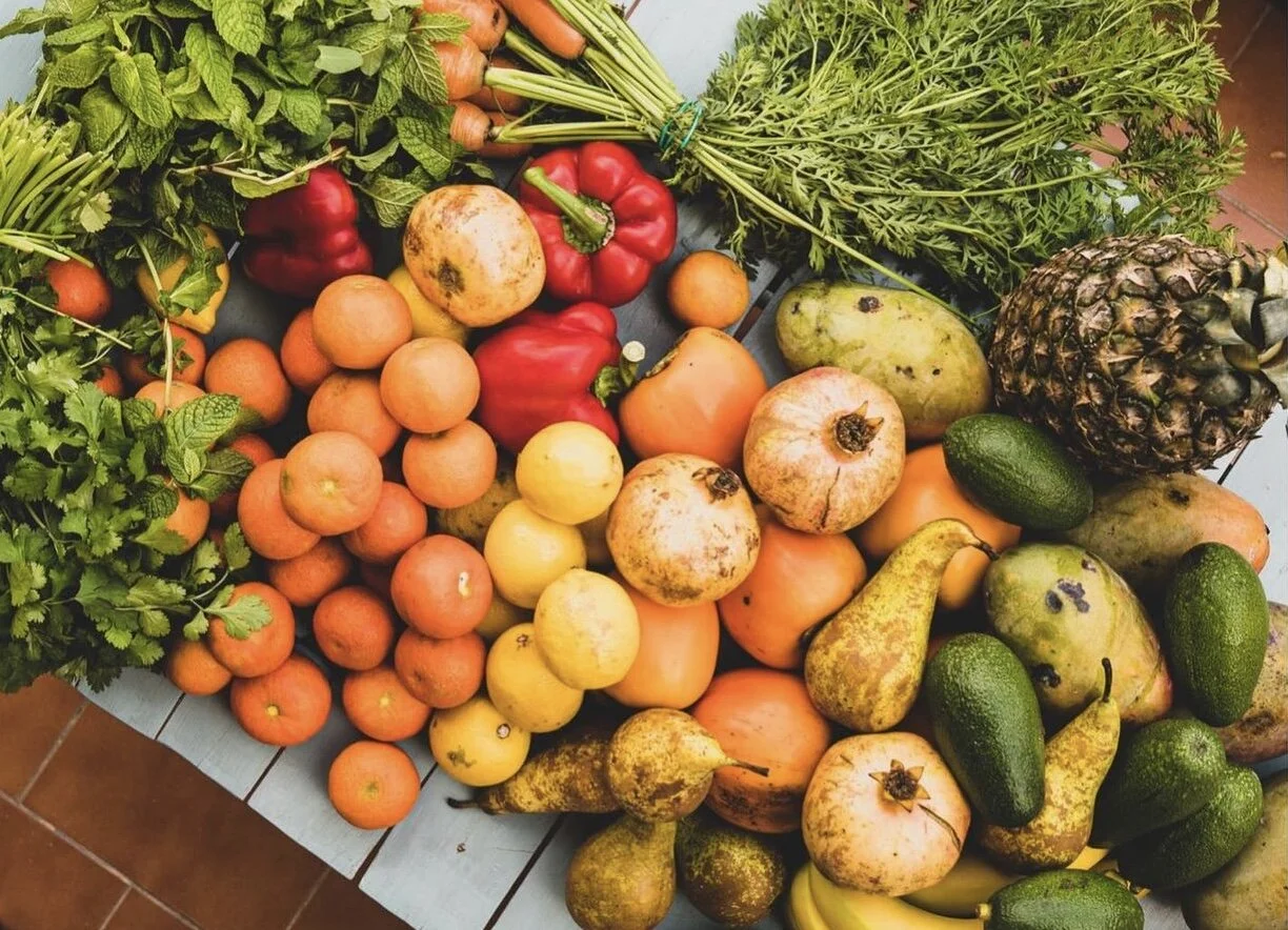 Redefining Healthy Habits in Athens, Ga